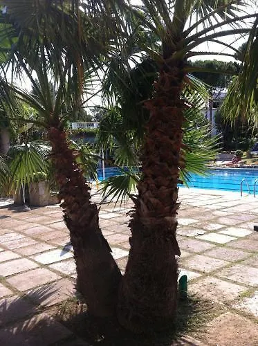 Hotel Gri-Mar Llanca